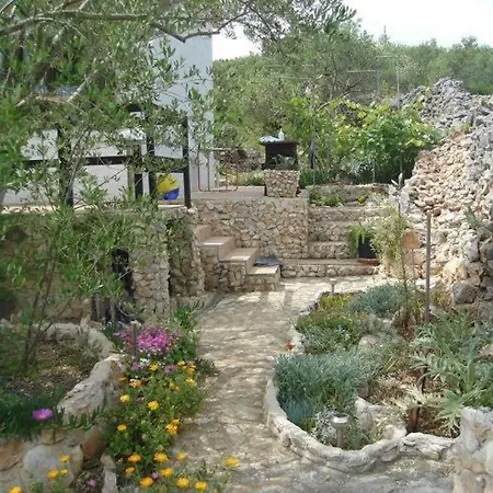 Robinson House In With Sea View *
